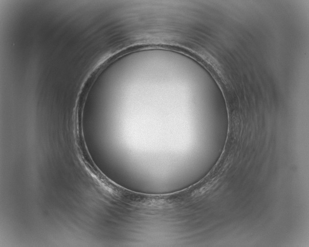 X0000073400982200608111254