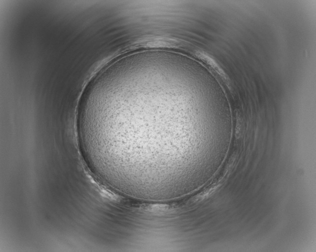 X0000073400986200608111254