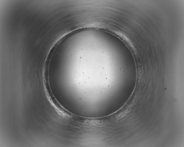 X0000073400991200608111254