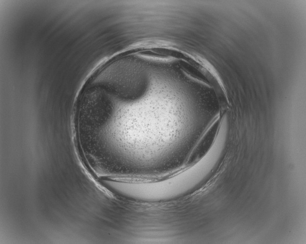 X0000073400997200608111254