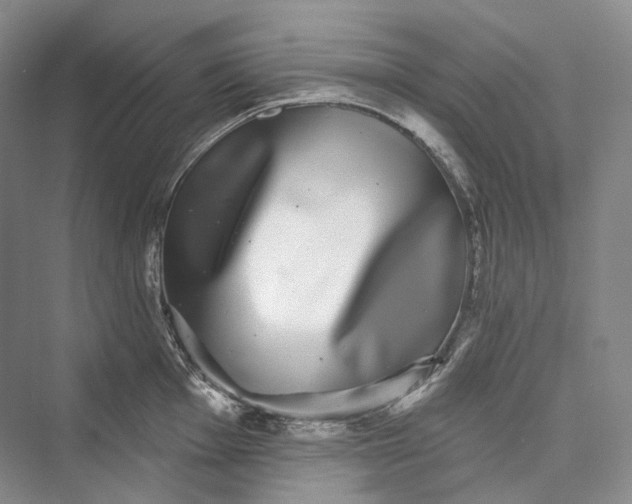 X0000073401001200608111254