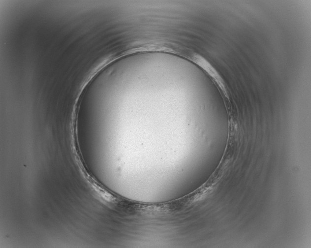 X0000073401002200608111254