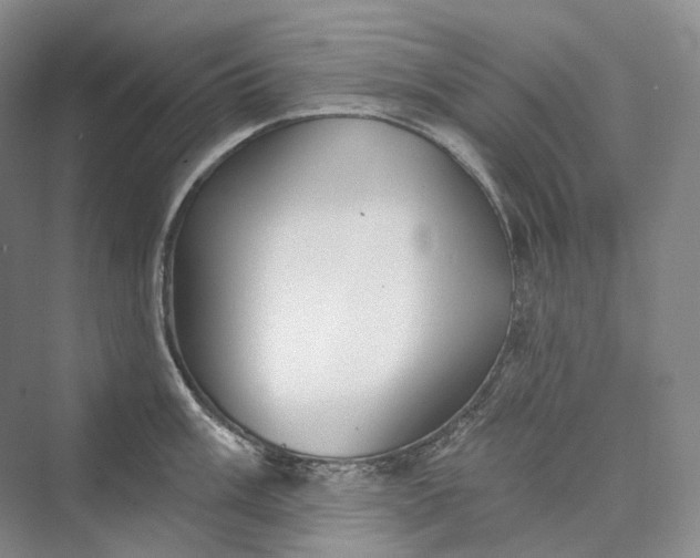 X0000073401003200608111254