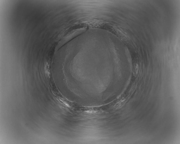 X0000073401010200608111253