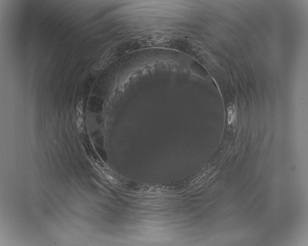 X0000073401011200608111253