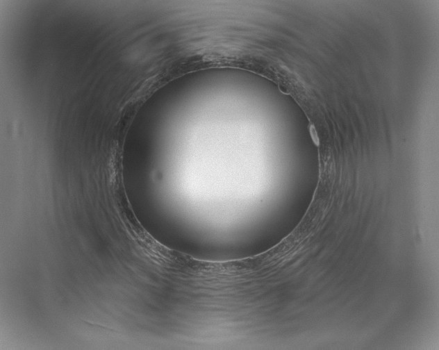 X0000073401012200608111253