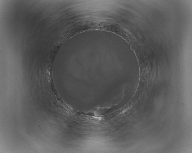 X0000073401013200608111253