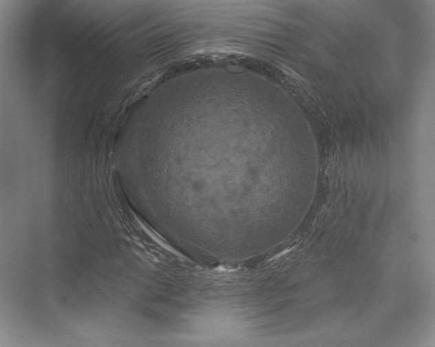 X0000073401014200608111253