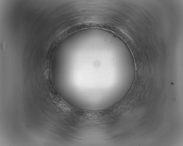 X0000073401015200608111253