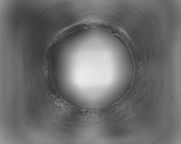 X0000073401016200608111253
