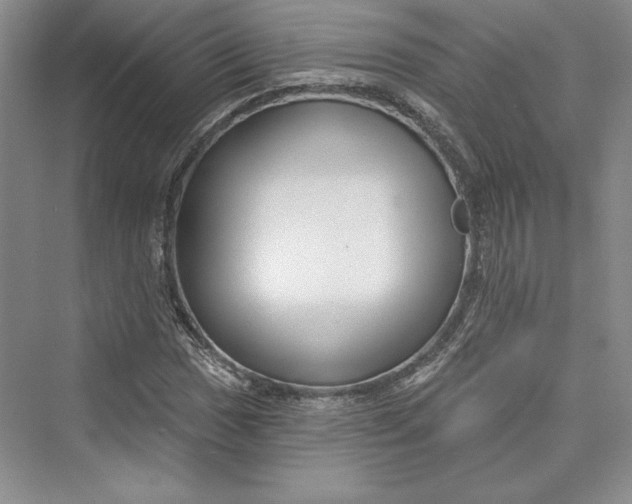 X0000073401017200608111253