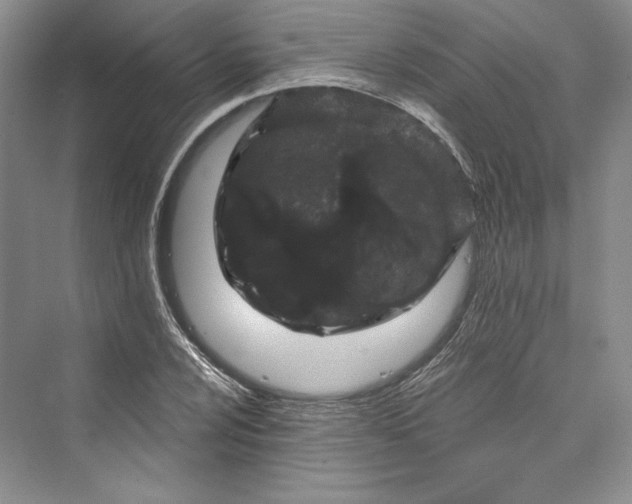 X0000073401024200608111253