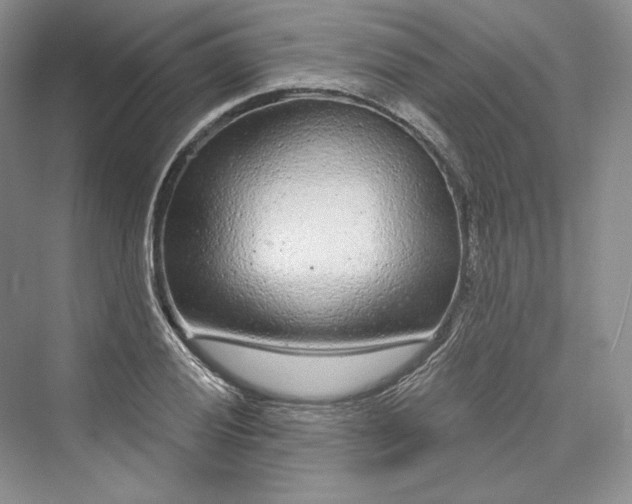 X0000073401028200608111253