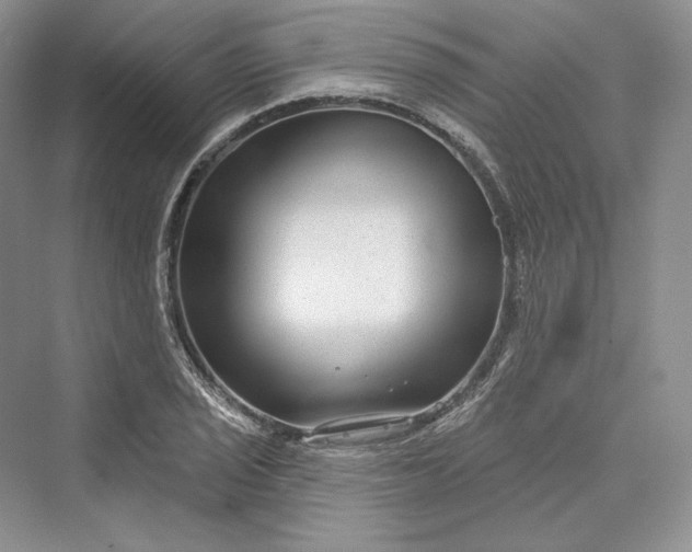 X0000073401029200608111253