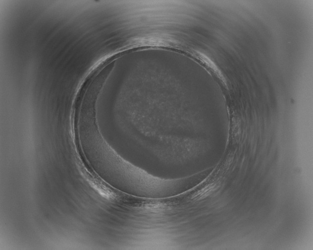 X0000073401035200608111254