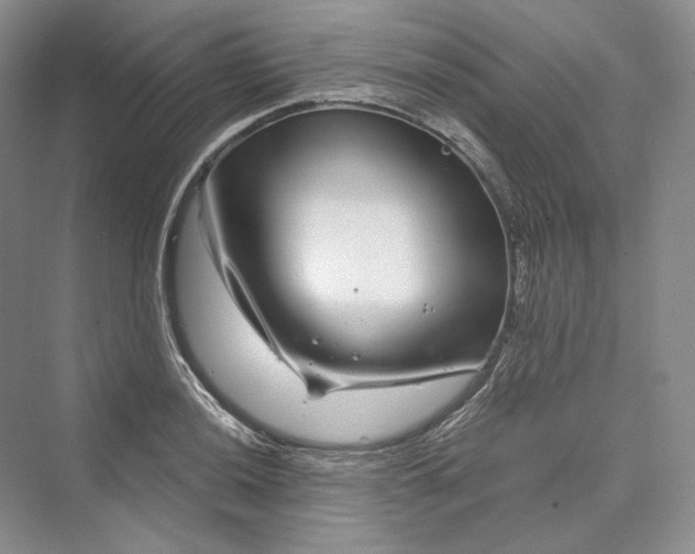 X0000073401036200608111254