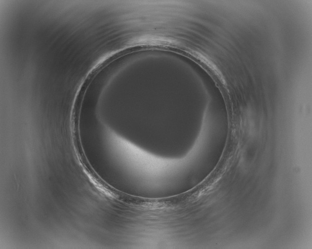 X0000073401037200608111254