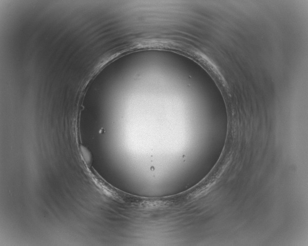 X0000073401041200608111254