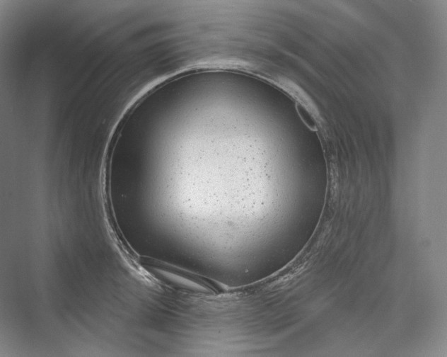 X0000073401044200608111254