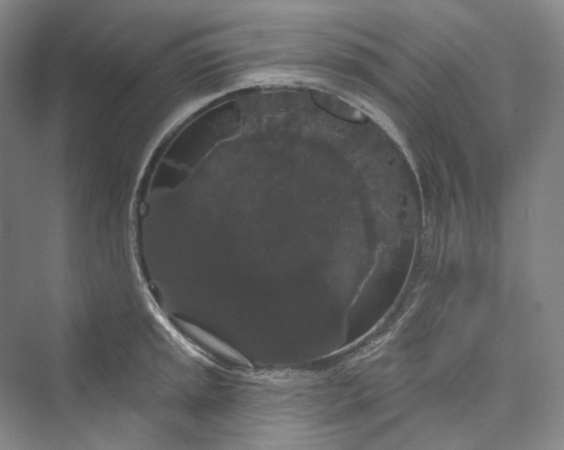 X0000073401045200608111254