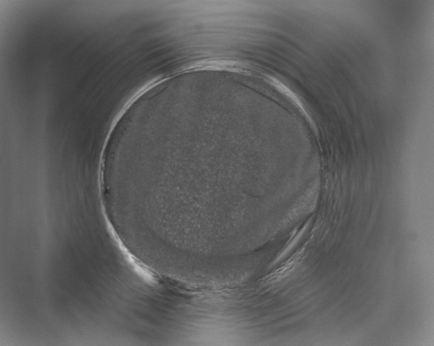 X0000073401050200608111254
