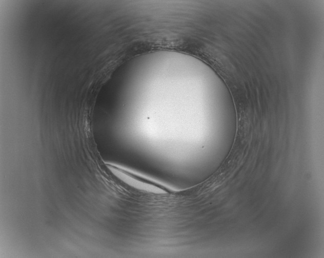 X0000073401058200608111253