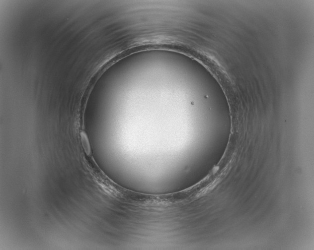 X0000073401073200608111253