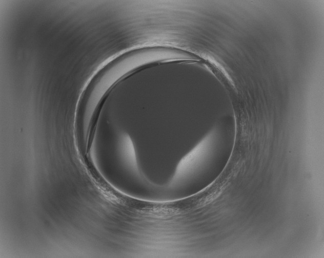 X0000073401077200608111253