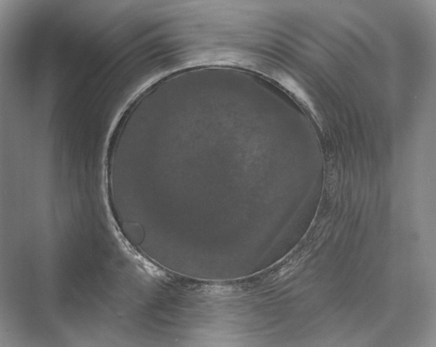 X0000073401088200608111253