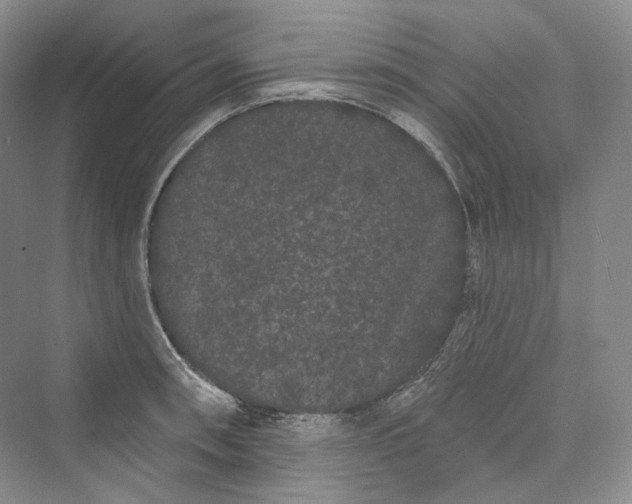 X0000073401090200608111253