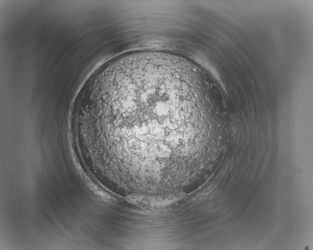 X0000073401091200608111253