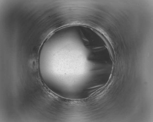 X0000073401097200608111252