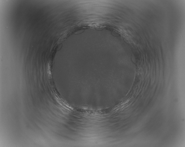 X0000073401106200608111251