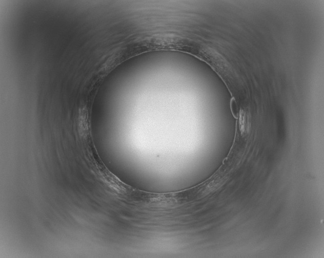 X0000073401107200608111252