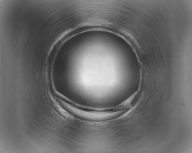 X0000073401114200608111252