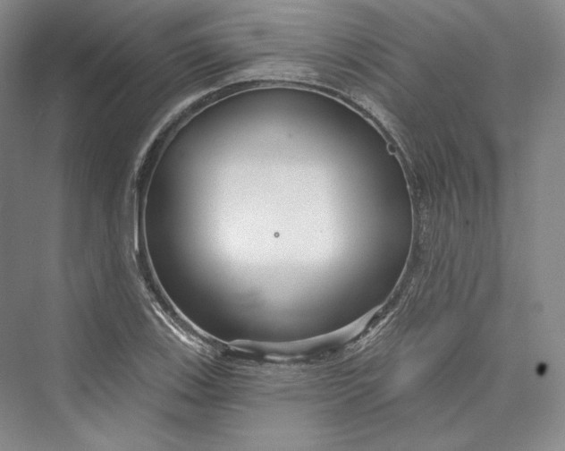 X0000073401123200608111252