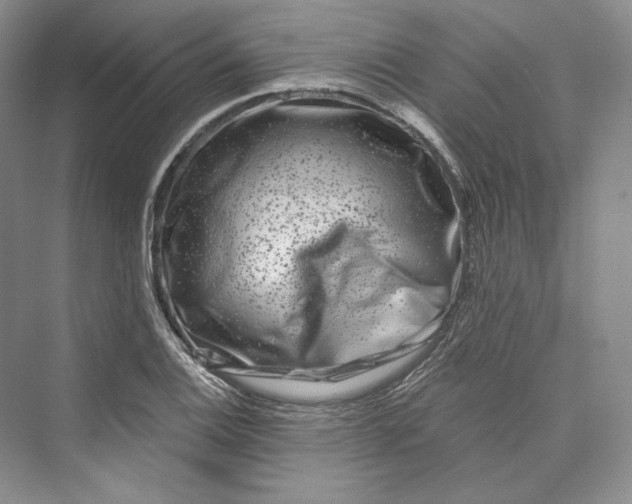 X0000073401124200608111252