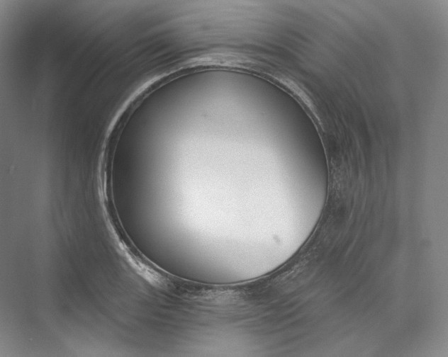 X0000073401131200608111252