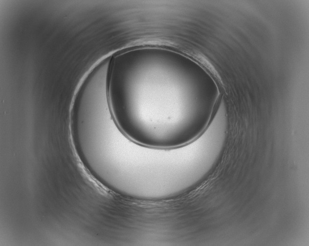 X0000073401132200608111252