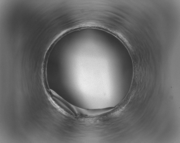 X0000073401134200608111252
