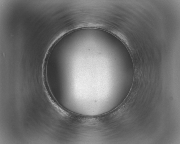 X0000073401135200608111252
