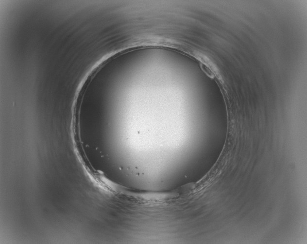 X0000073401136200608111252