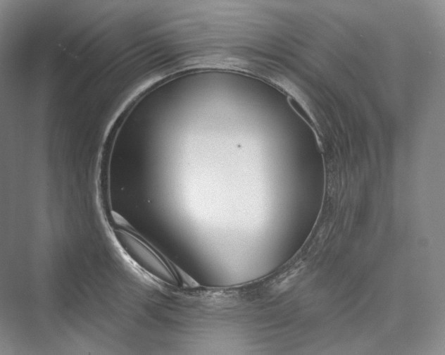 X0000073401139200608111252