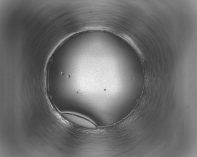 X0000073401140200608111252
