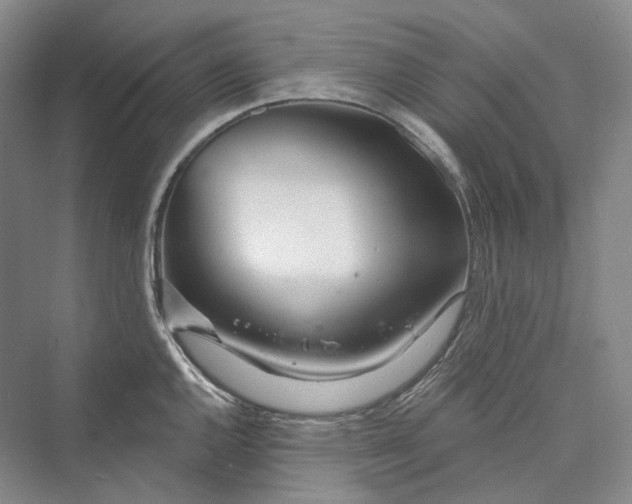 X0000073401144200608111252