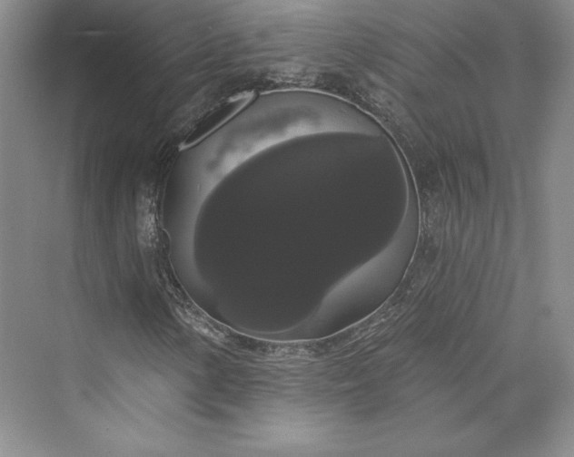 X0000073401154200608111251