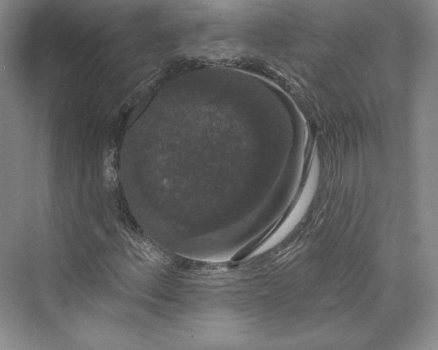 X0000073401156200608111251