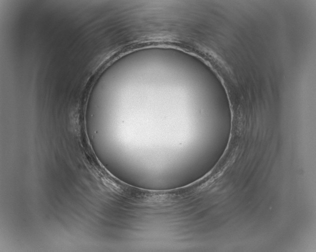X0000073401162200608111251