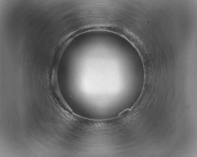 X0000073401169200608111251