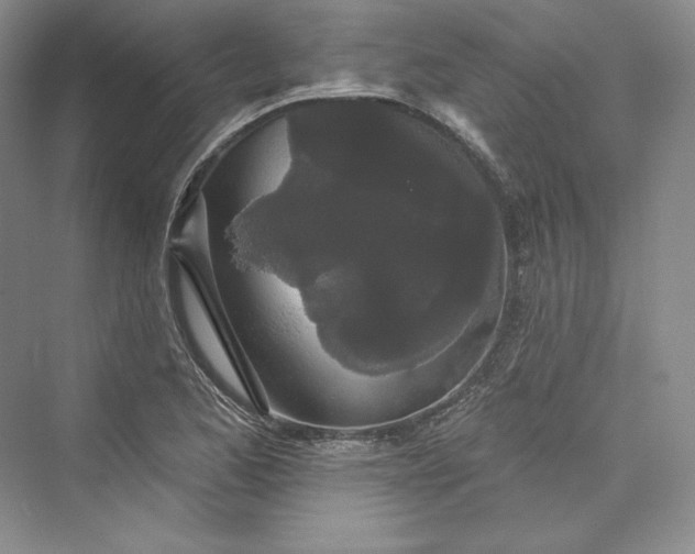 X0000073401173200608111251